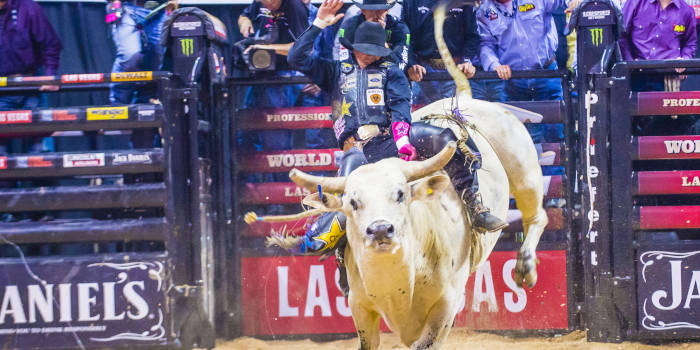 Az OpenBet hozzaadja a Professzionalis Bull Riders Esemenyfogadast