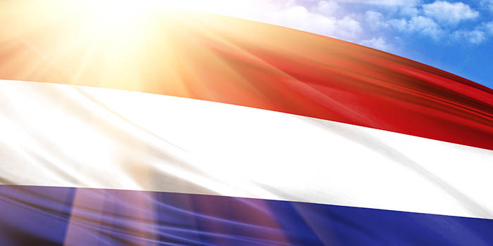 A KSA 2022 es piacfelmerese uj trendeket tar fel a holland