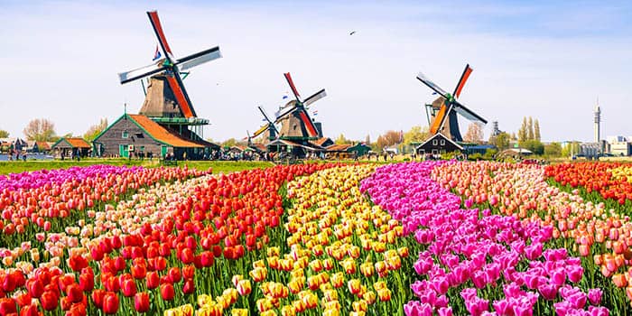 A LeoVegas a holland jatekpiac elinditasat unnepli