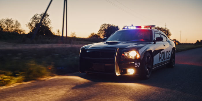 A Memphis PD illegalis jatekgepeket es 1 millio dollar keszpenzt