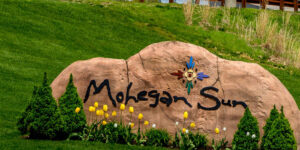 Mohegan Greene t nevezi ki a digitalis reszleg online marketingjeert felelos