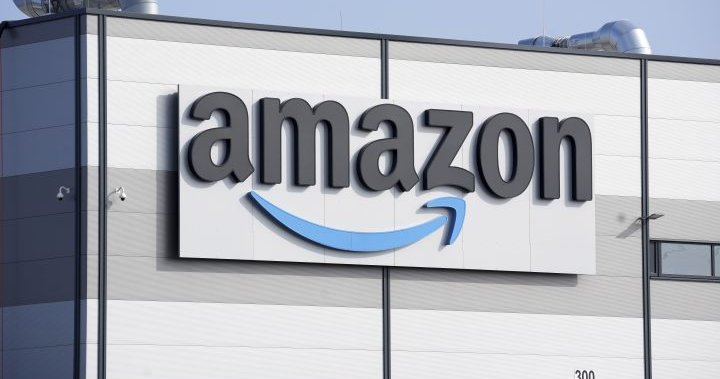 1706029015 Az Amazon egyseget 46 millio dollaros penzbirsaggal sujtottak a francia