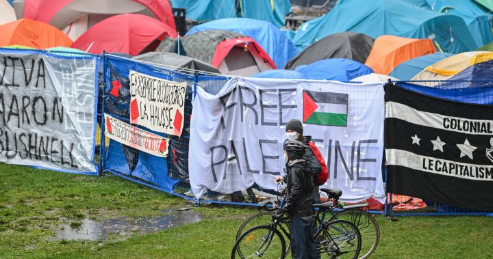 McGill bírósághoz fordul, hogy elrendelje a palesztinbarát tábor eltávolítását