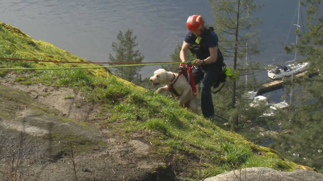 Kattintson ide a videó lejátszásához: „Grizzly” mentés a Quarry Rocknál”